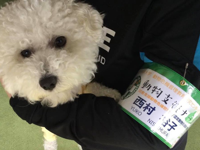 動物支援ナースが被災地で着ける腕章(西村さん提供)