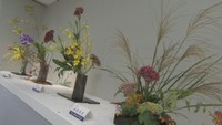 秋の花々が会場を彩る…岡山市のデパートで生け花の展示会 10流派の作品を展示