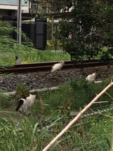 かつてはこんな場所に暮らし……助かったのです