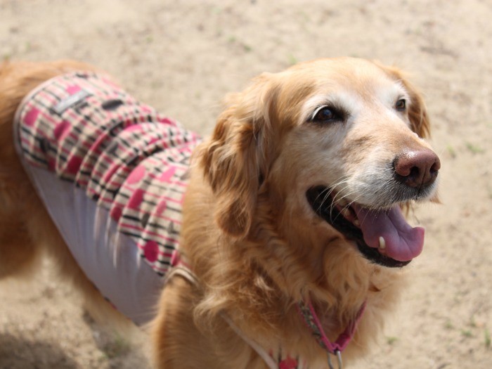 笑顔で家族みんなを幸せに