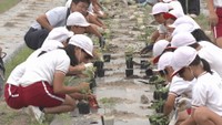 赤磐市の小学生が「モリンガ」について学ぶ 地球温暖化対策で注目の植物 岡山