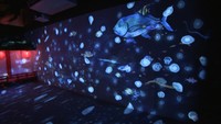 「四国水族館」が3月20日オープンへ向け準備! “水槽を使わない”展示やAIシステムを公開 香川・宇多津町