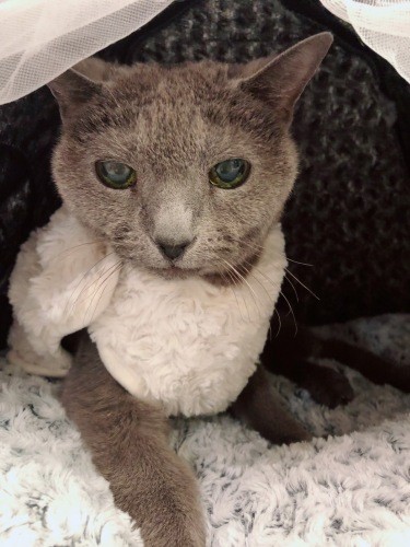 発作の2日後、落ち着いた表情を見せてくれました。まみさんは発作の日から日記をつけはじめたそう。「エンゼルタイムがはじまったのだと覚悟しました」(まみさん提供)