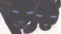 ユニークでかわいらしい動物を描く 日本画家・入江酉一郎さんの特別展 岡山・笠岡市