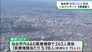 新型コロナとヘルパンギーナ 仙台市でいずれも感染者数が増加
