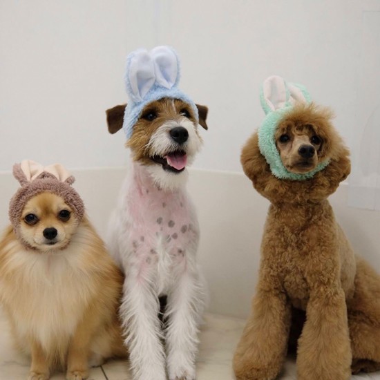 左からなっぱ、ロイス、ジーニー(UG提供)