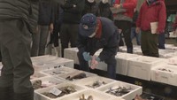 岡山市の市場で初競り 物価高の影響で1割程度値上がり 今後安くなる見込みの魚も