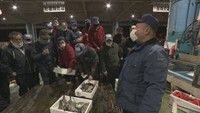 高松市中央卸売市場で初競り 競り人の声響き活気戻る 香川