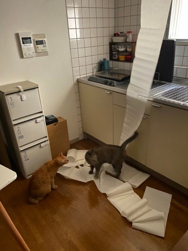 時には想像を絶するいたずらもするけど(池田さん提供)