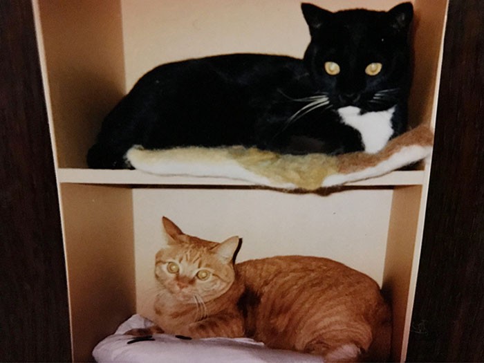 当時、1歳の時の竹と梅