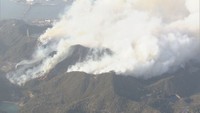 【解説】岡山市の山火事なぜ広がった? 専門家「要因に『山の歴史』が関係」 今後の懸念は