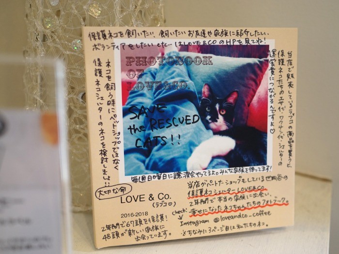 ラブコから譲渡された猫たちの写真集。表紙には、橋本さんからのメッセージがびっしり
