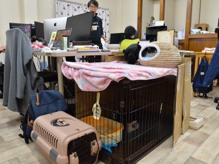 うんちしたら気づいた人がすぐ掃除