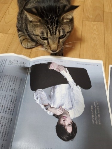 (セカンドネーム)をもらった本家(セクゾの菊池風磨君)をガン見。インスタでは、はっぴーでなく「ふまたん」を名乗っています