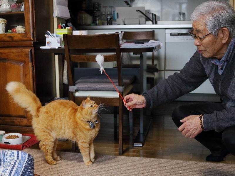 楽しすぎて興奮?遊びながら尾を膨らませるぐり