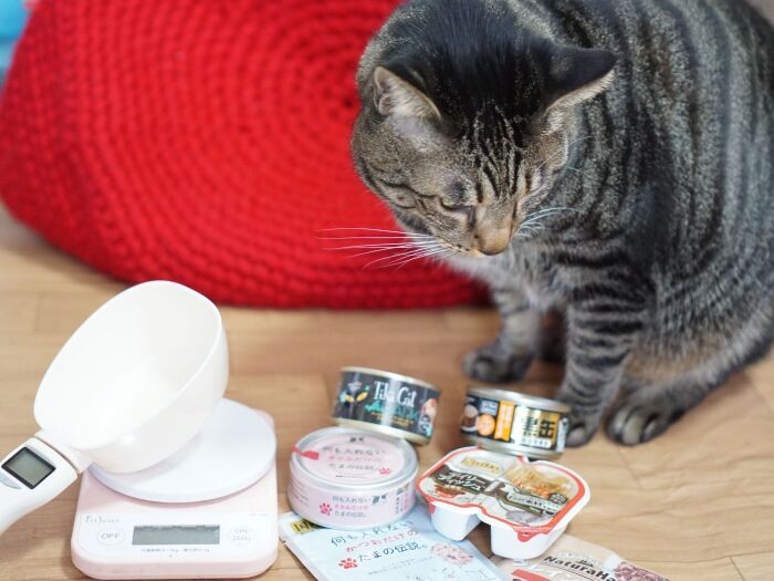 はっぴーのように、水をあまり飲まなかったり、便秘がちな場合、ドライフードの1割をウェットに替えるのもいいそうです。はっぴーは便秘対策で、先生に勧められた乳酸菌サプリ(エスプレスH61)もはじめました