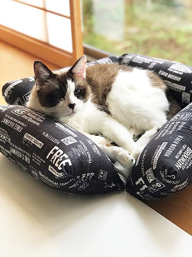 猫ベッドは、展子さんのお手製(写真提供展子さん)