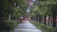 台風14号 岡山・香川に大きな被害なし 【午前11時30分現在】
