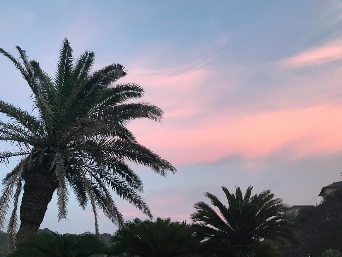 お散歩中の風景