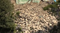 また…丸亀城の石垣が崩れる