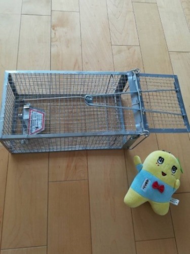 捕獲器は小動物用、本当に小型でした