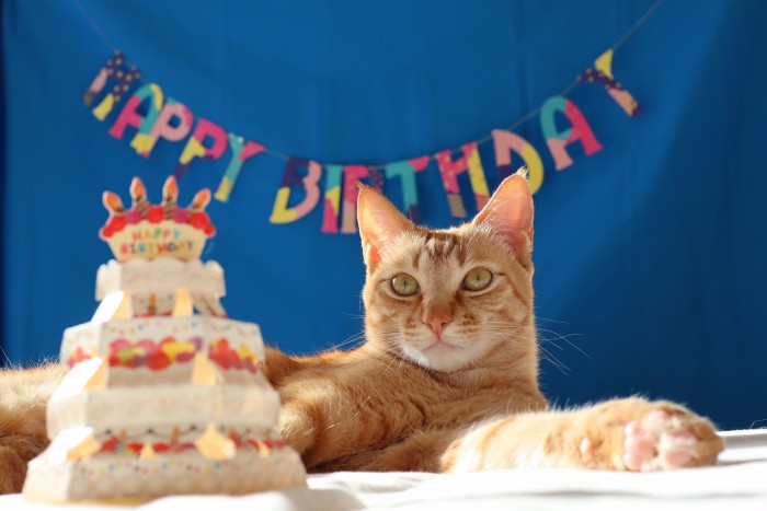 お誕生日、盛大に祝ってもらったよ