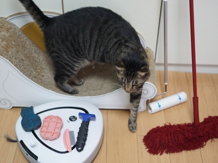 僕らのお手入れとお掃除ごくろうさま