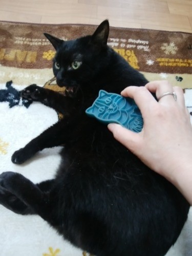 「暖かくなると冬毛が抜けるから、ブラシを手伝ってもらうといいのよ!」