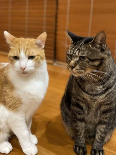 キャラは違うけど相性はばっちり(千鶴子さん提供)