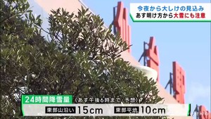 宮城県は海上で大しけの見込み 東部では大雪に注意 発達した低気圧の影響