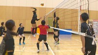 V3女子・倉敷アブレイズが12月2,3日にホーム戦 Vサマーリーグでは東レアローズに勝利