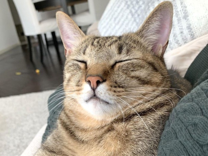 瞑想中でござる