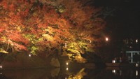 栗林公園で秋のライトアップ始まる 12月3日まで 期間中は若い人の来園が増加する傾向 高松市