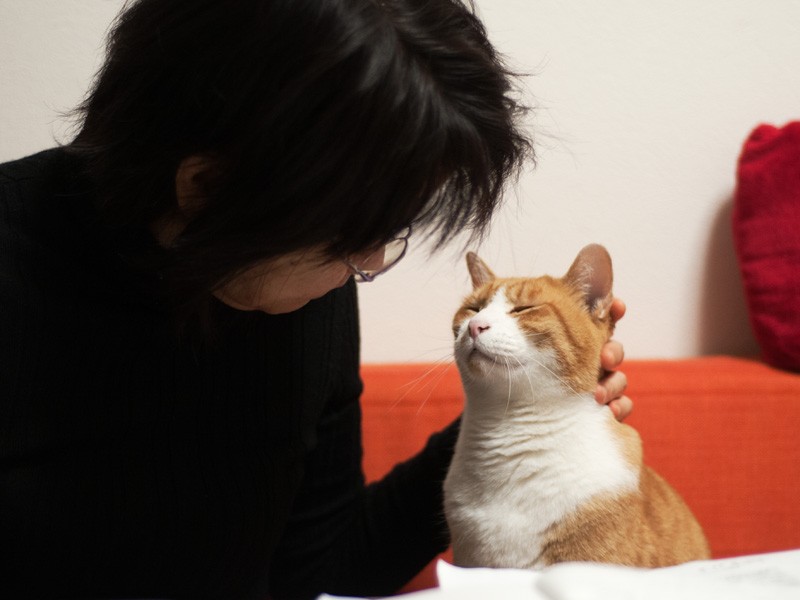 「くんくん、おばちゃんケーキ食べたでしょ」(小林写函撮影)