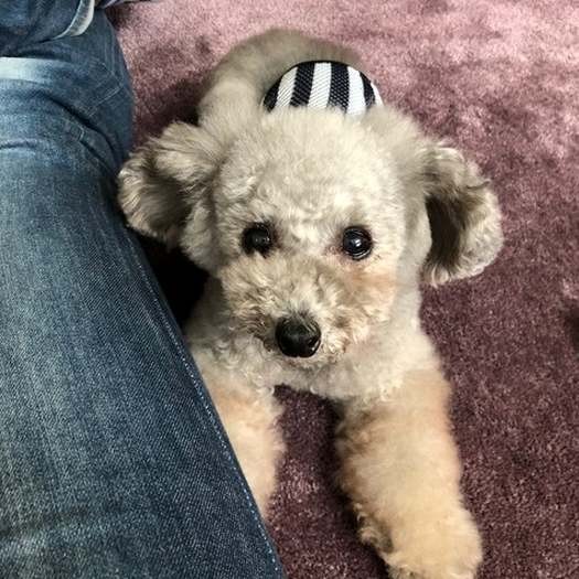 1度目のトリミング後