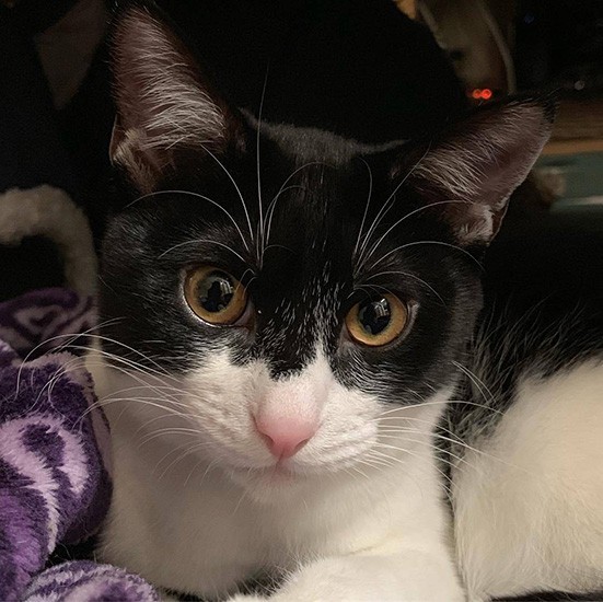 まあるい目が可愛いばんぐくん