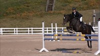 馬術競技を知ろう!中四国唯一の馬術競技場でイベント 五輪選手の実演も 岡山・真庭市
