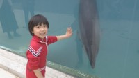 バンドウイルカの「ナナ」まもなく1歳に フンボルトペンギンの「みかん」もお披露目 香川