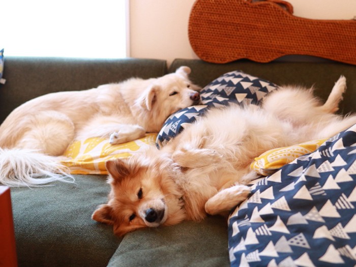 「つまんねーオーラ」全開の大福