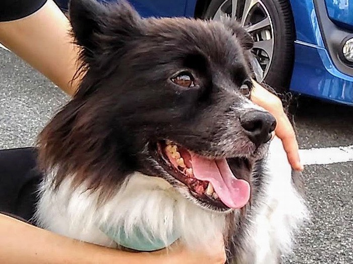 家族には笑顔を見せる