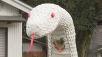 巨大!神社に長さ約20mの白ヘビの干支飾り 寒い中多くの参拝客が訪れる 香川・まんのう町