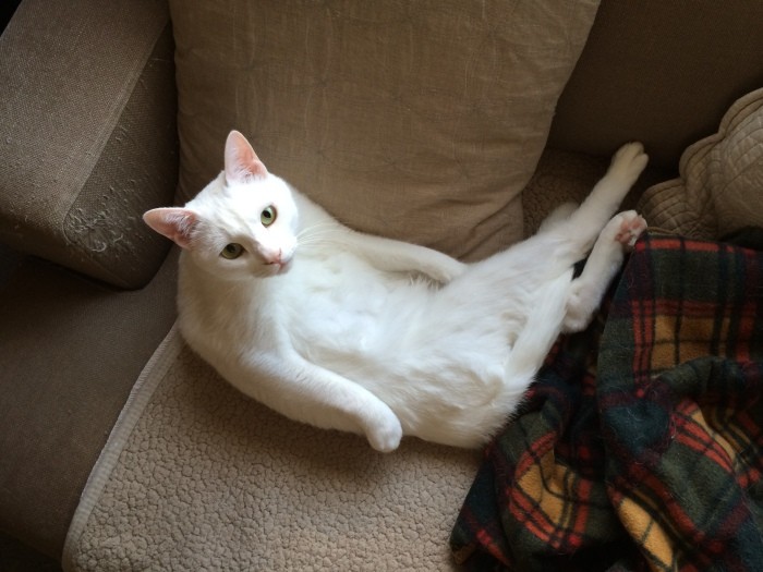 ん?