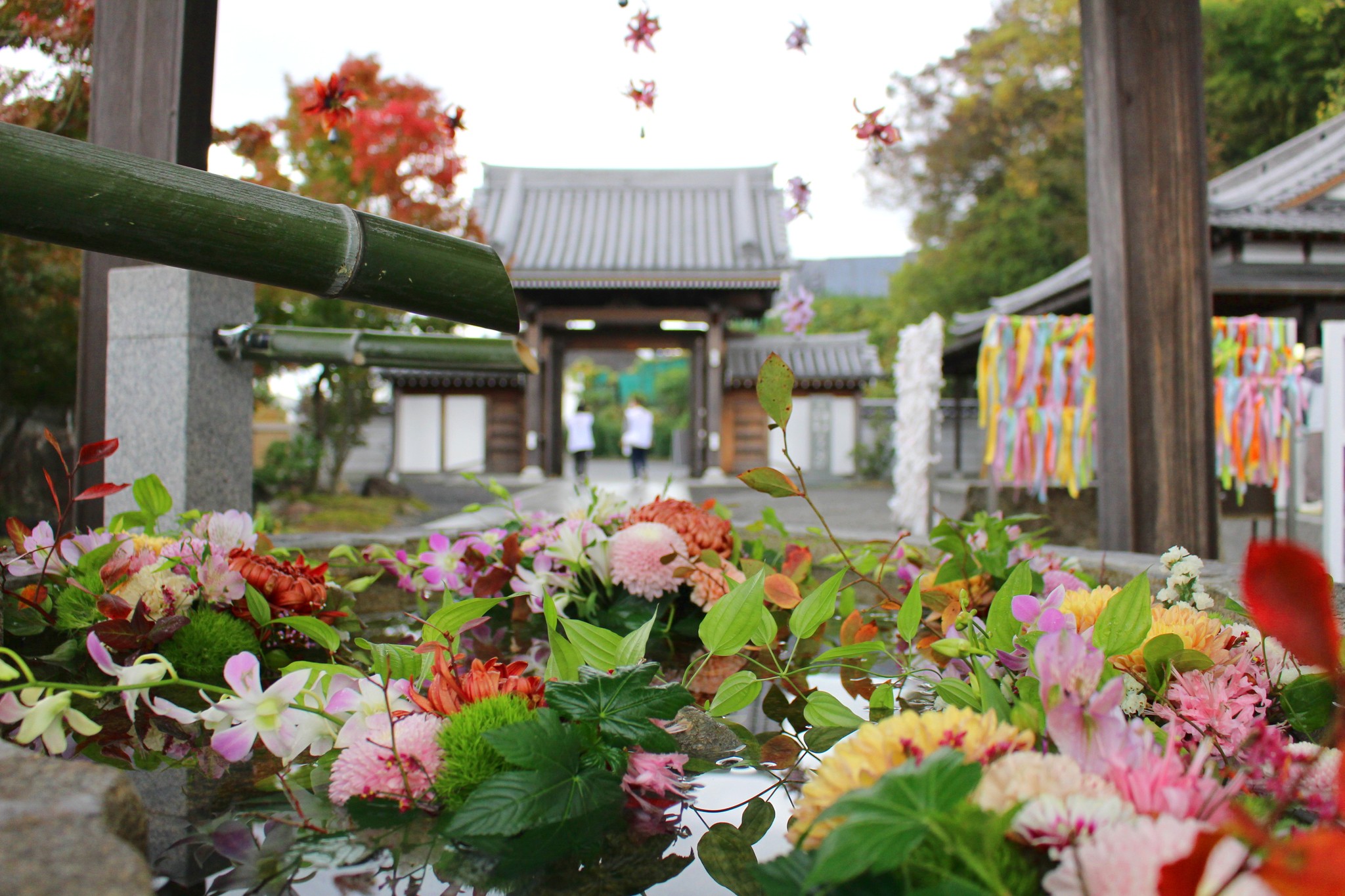 色鮮やかな花手水 願いを叶える「七ヶ所まいり」で参拝者の心も晴れやかに