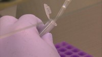 〈新型コロナ〉岡山県で新たに5人の感染確認 県内累計2634人に