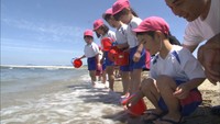 ゆっくり優しくバケツを運んで 園児たちがヒラメの稚魚を放流 香川・観音寺市
