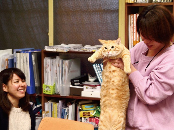 書類の山から下ろされてこの表情