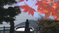 香川・小豆島の「寒霞渓」で紅葉進む 3日には3年ぶりにお茶会も開催