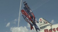 デニム柄のこいのぼりが空を泳ぐ 地域の伝統や産業をPR 岡山・倉敷市