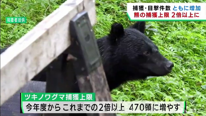 #ツキノワグマ捕獲数の上限を2倍以上に増やし被害の削減を 宮城県