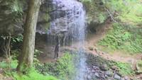 【特集】生き物ワールド 夏の水辺の生き物たち 涼しげな風景に生態系あり 岡山